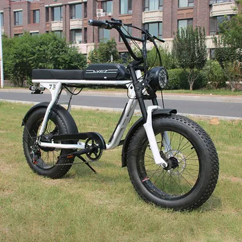 20-инчов електрически велосипеди, електрически планински велосипед, предна и задна механични дискови спирачки, бесщеточный двигател с висока мощност, колоездене