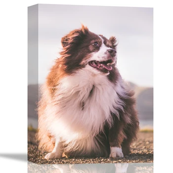 Бърза доставка на Животни Отпечатъци върху платно Живопис Персонализирани Кучета, котки стенни художествени картини за украса на подарък